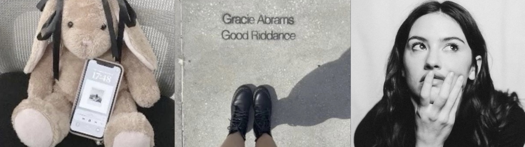 Good Riddance banner